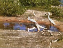 C05SnowyEgrets16x20