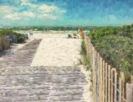 C16BeachBoards