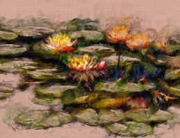 L08Waterlillies