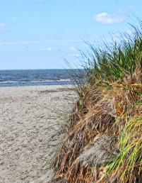 P01BeachEntrance