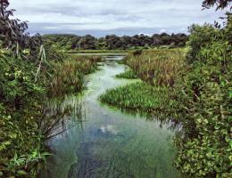 P04WindingWaterway20x30