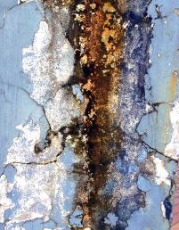 P13Stain1