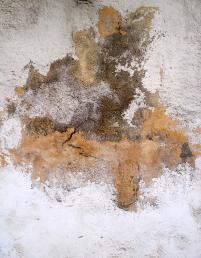 P15Stain2adj
