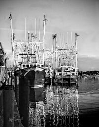 P20CapeMayFishingBoats20x30