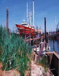 P21DryDock18x24